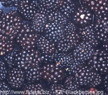 IQF blackberries B15