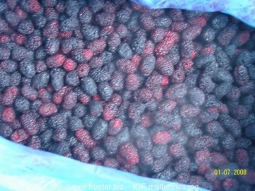 IQF mulberries B10