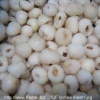 IQF lychee meat F06