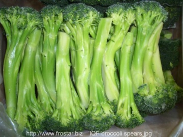 IQF broccoli spears V36