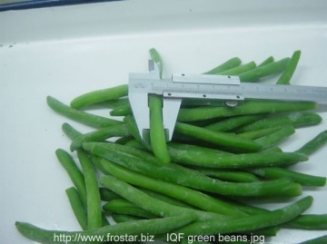 IQF green beans whole V15
