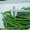 IQF green beans whole V15