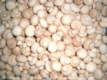 IQF white button mushroom M02