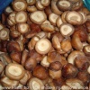 IQF shiitake mushroom whole M01